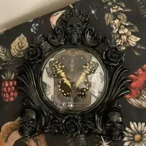 Gothic frame, butterfly oddity